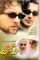 دانلود فیلم رز زرد | The Yellow Rose 2003 | با کیفیت بلوری HQ1080P